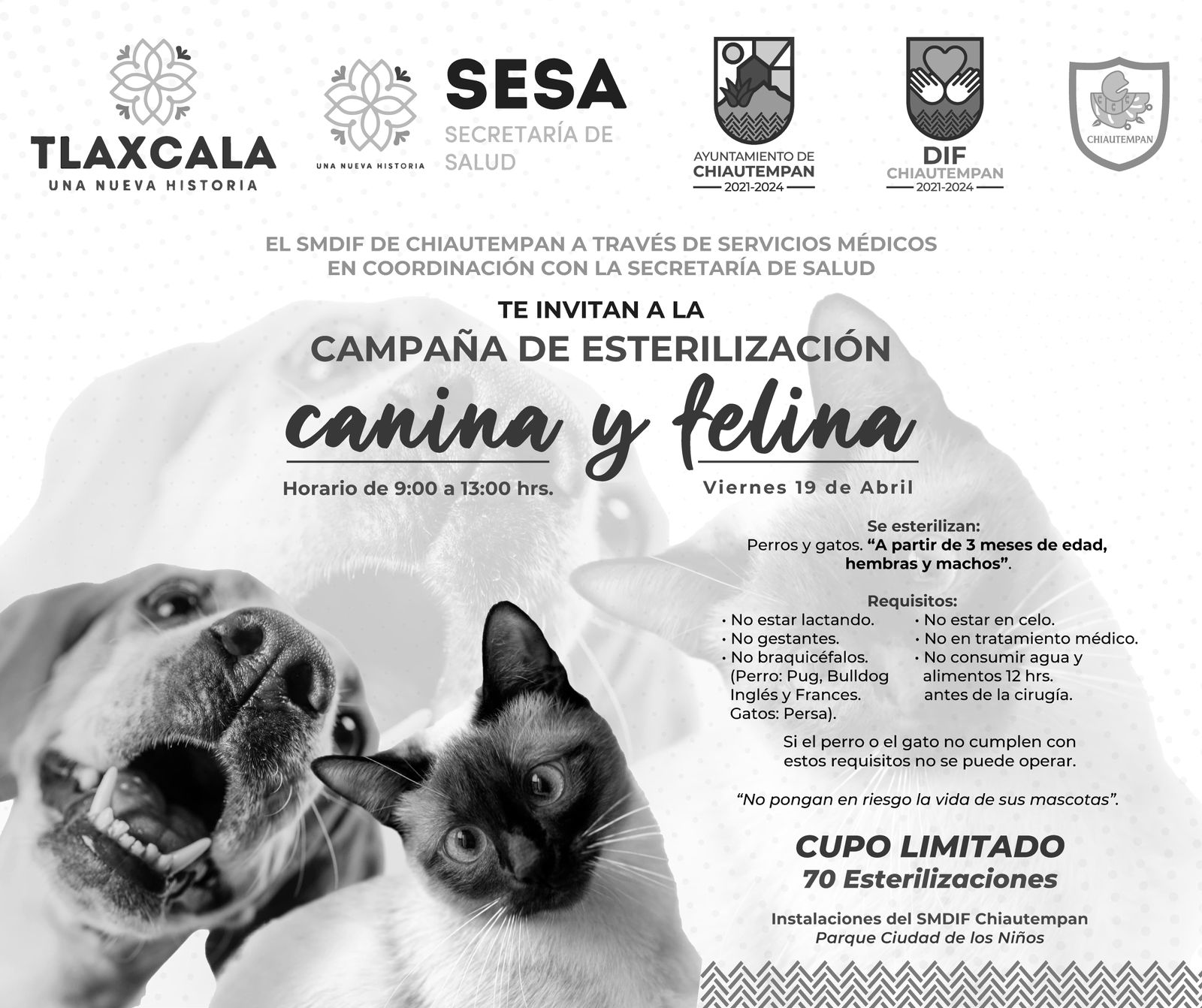 Sistema municipal DIF y la SESA realizarán campaña de esterilización en Chiautempan